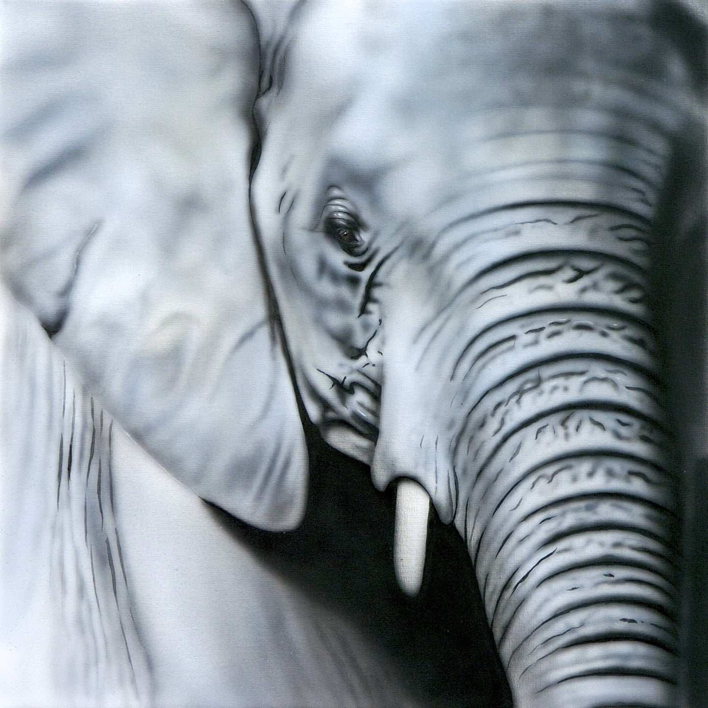 Grey Blue - Elephant
