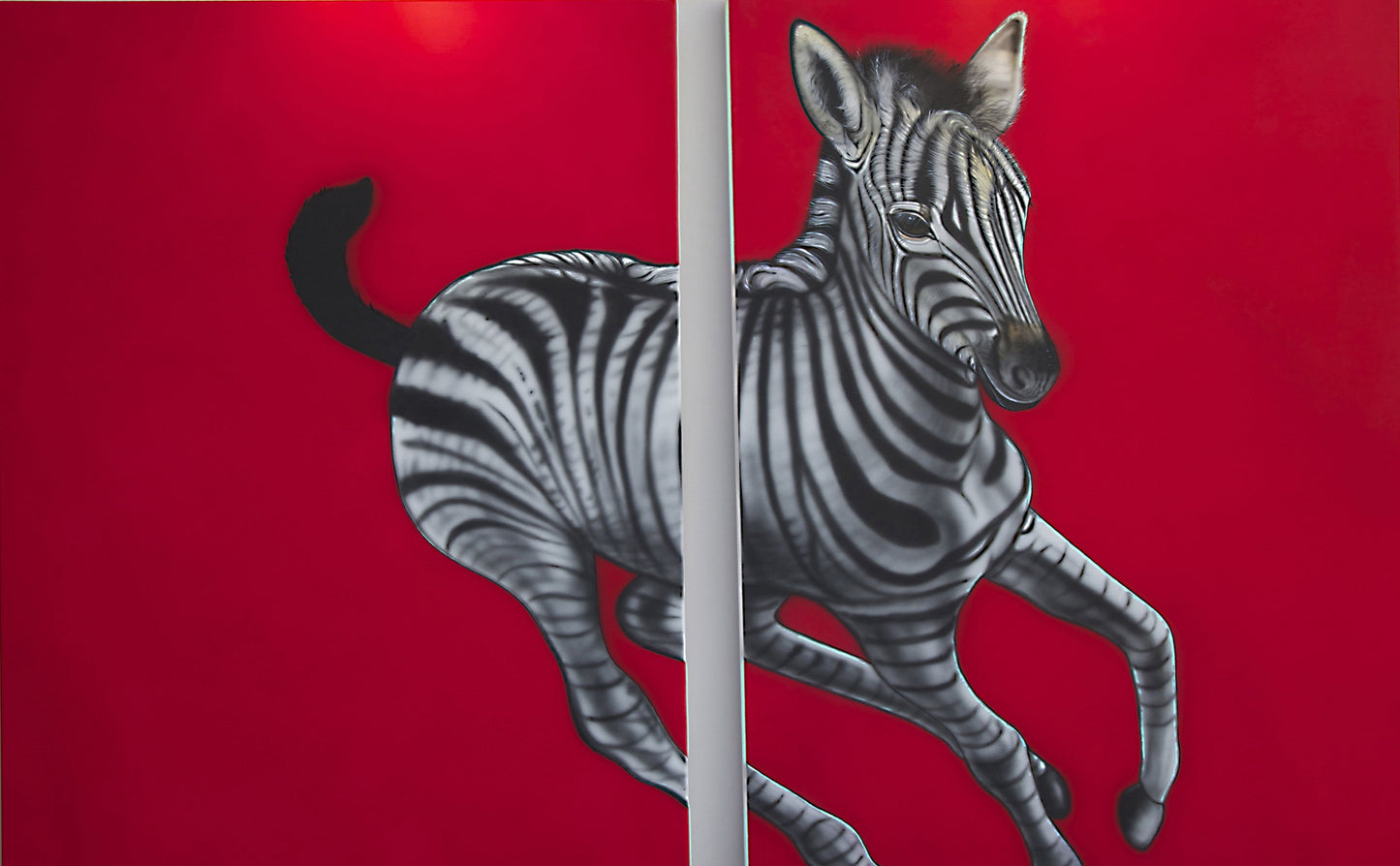 Baby Zebra on Red