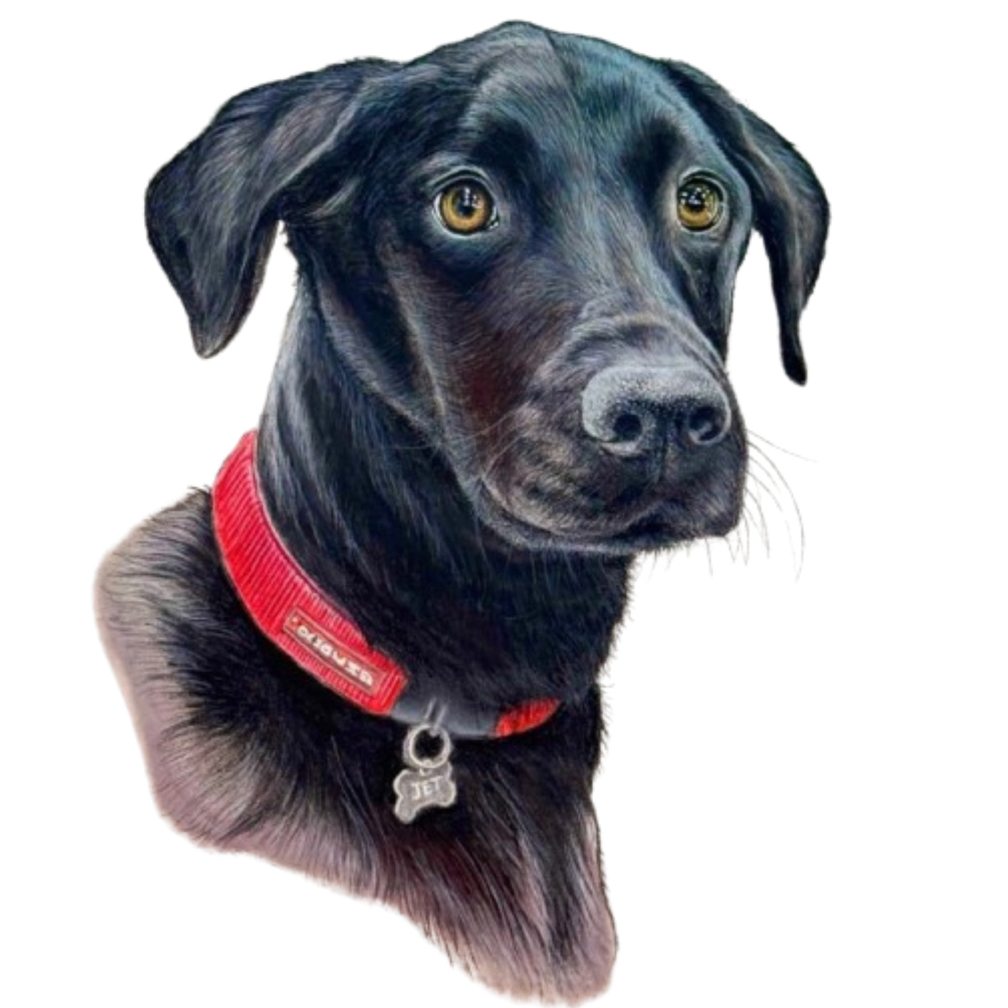 Pet Portrait Commissions || A3