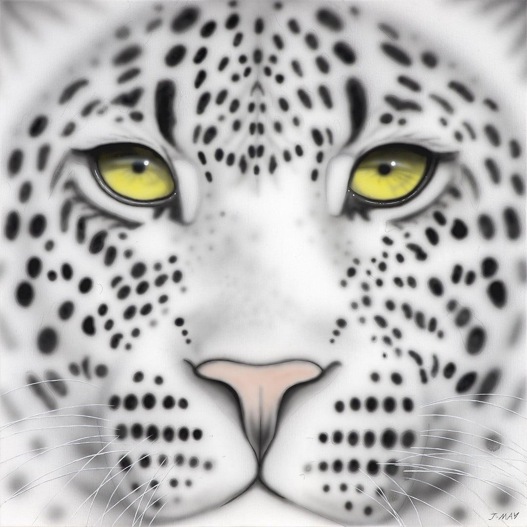 Snow Leopard