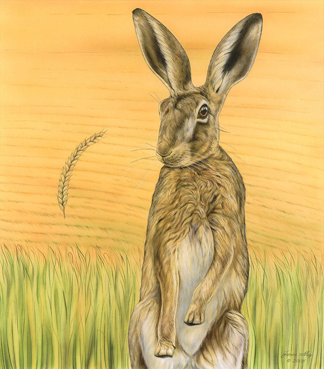 Cornucopia hare with a field backdrop