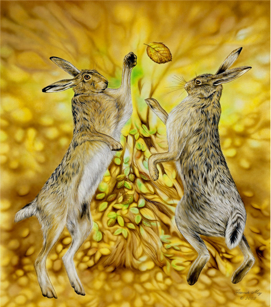 Male and female hare mating ritual with autumnal colours
