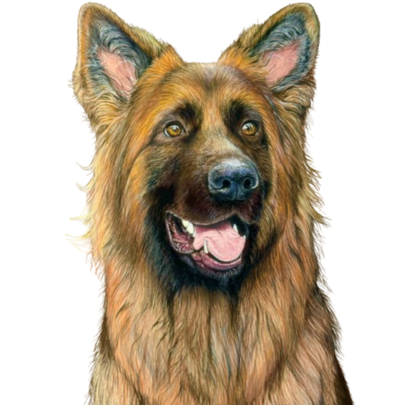 Pet Portrait Commissions || A5