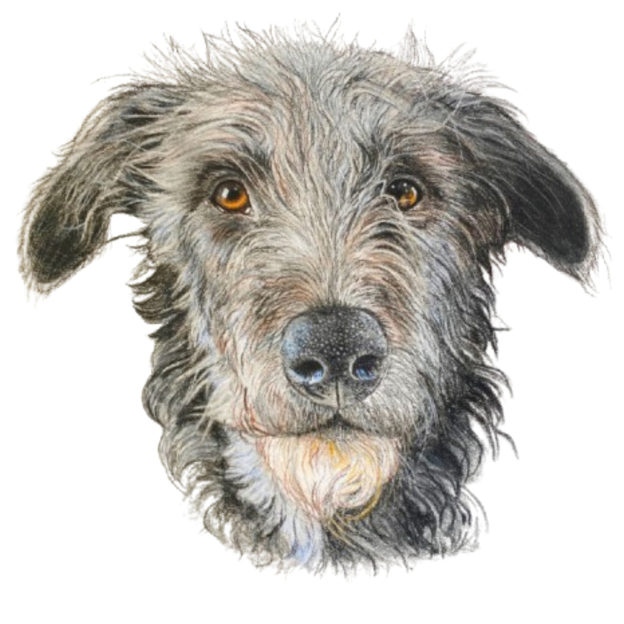 Pet Portrait Commissions || A5