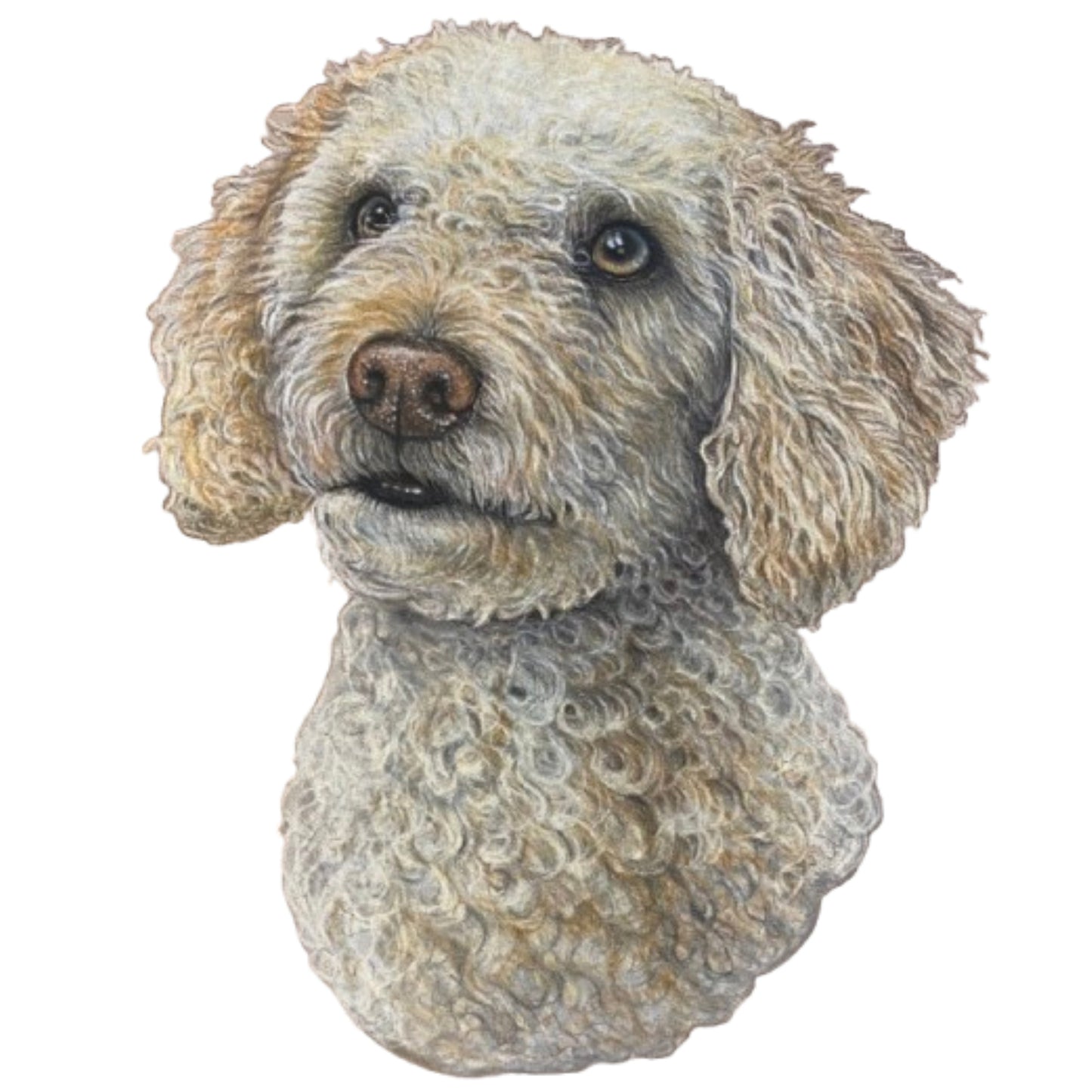 Pet Portrait Commissions || A5