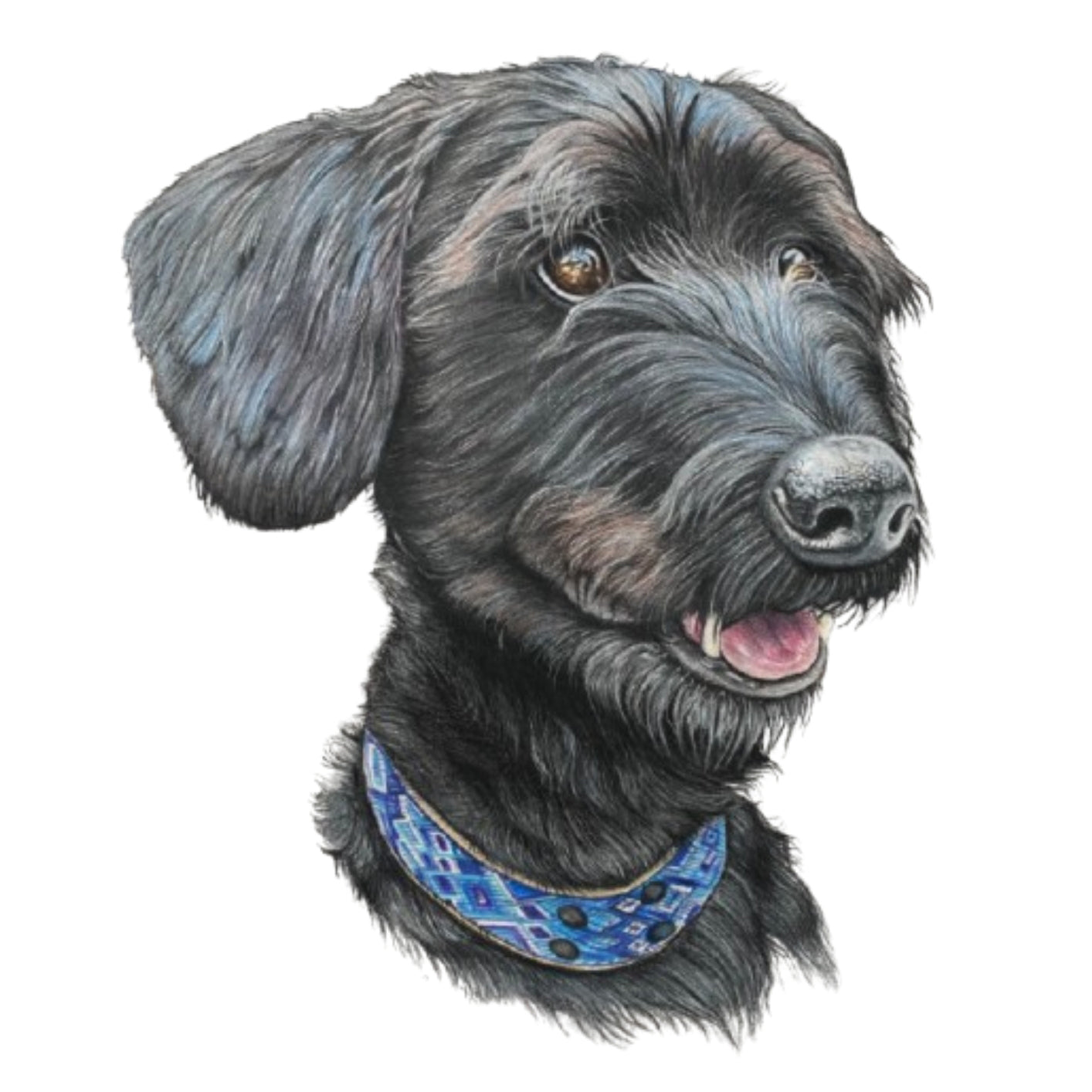 Pet Portrait Commissions || A3