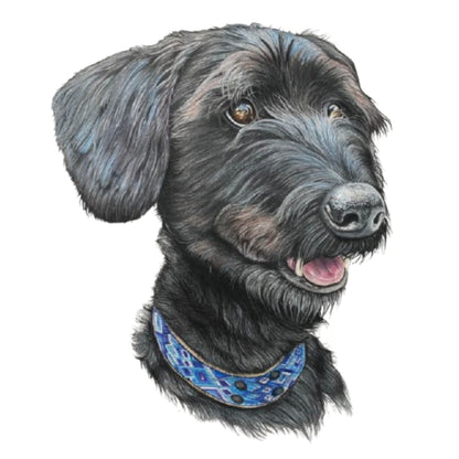 Pet Portrait Commissions || A3