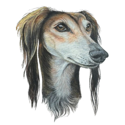 Pet Portrait Commissions || A5