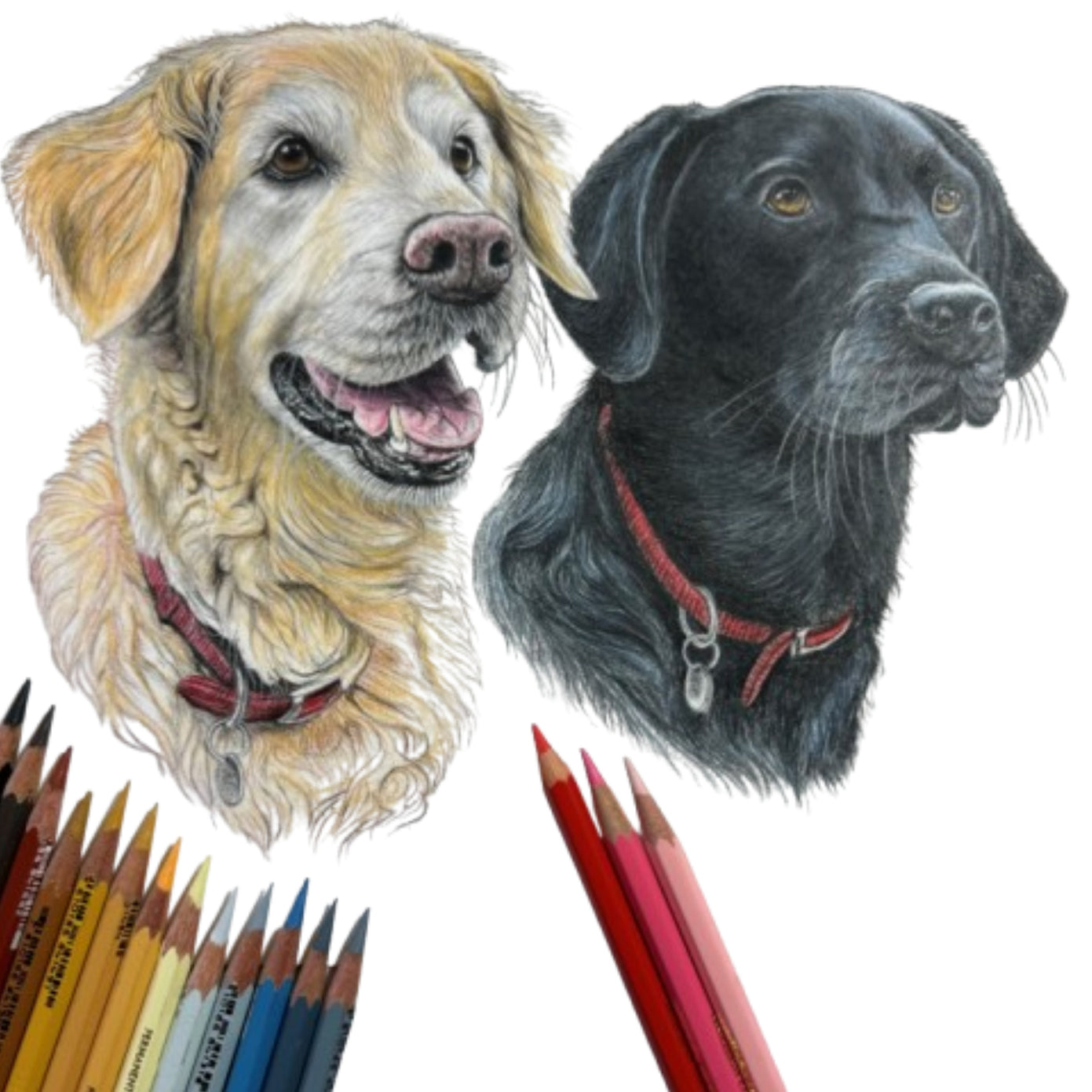 Pet Portrait Commissions || A5