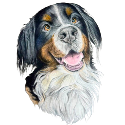 Pet Portrait Commissions || A5