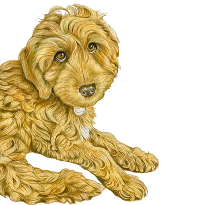 Pet Portrait Commissions || A5