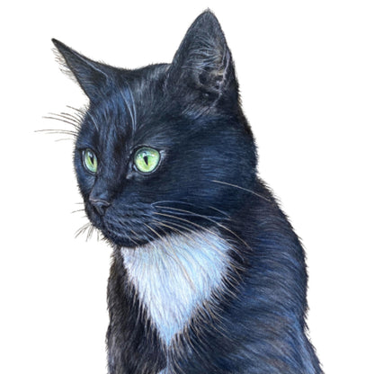 Pet Portrait Commissions || A3