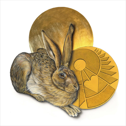 Crop Circle - Timless Durer Love