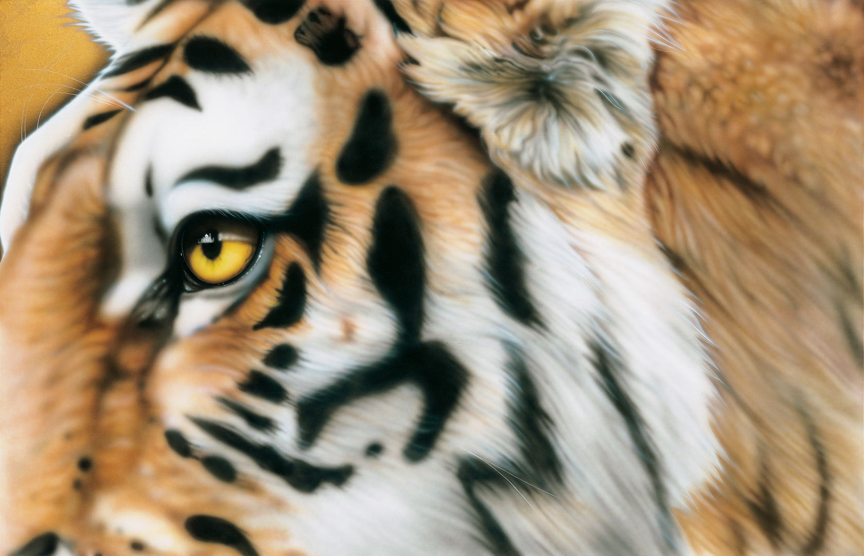 tiger face artwork