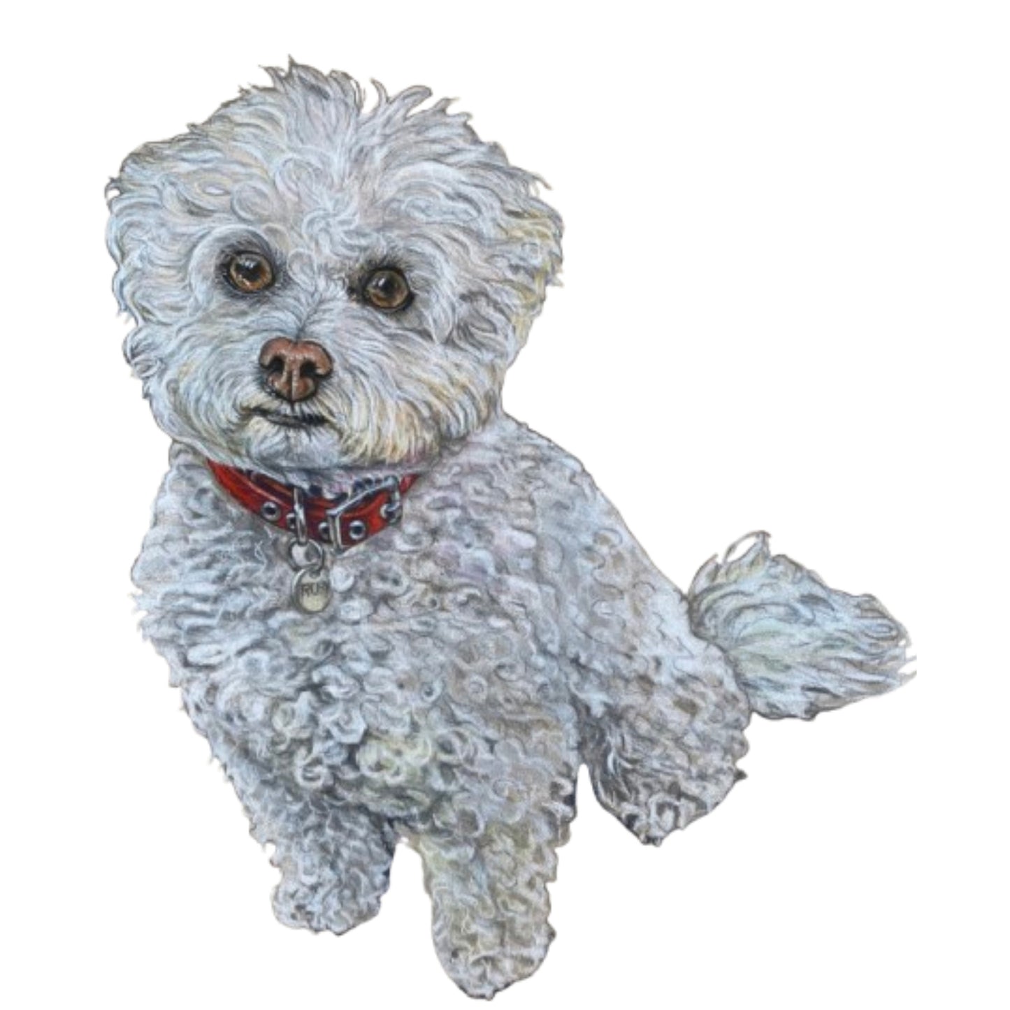 Pet Portrait Commissions || A5