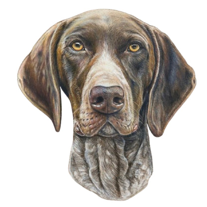 Pet Portrait Commissions || A5