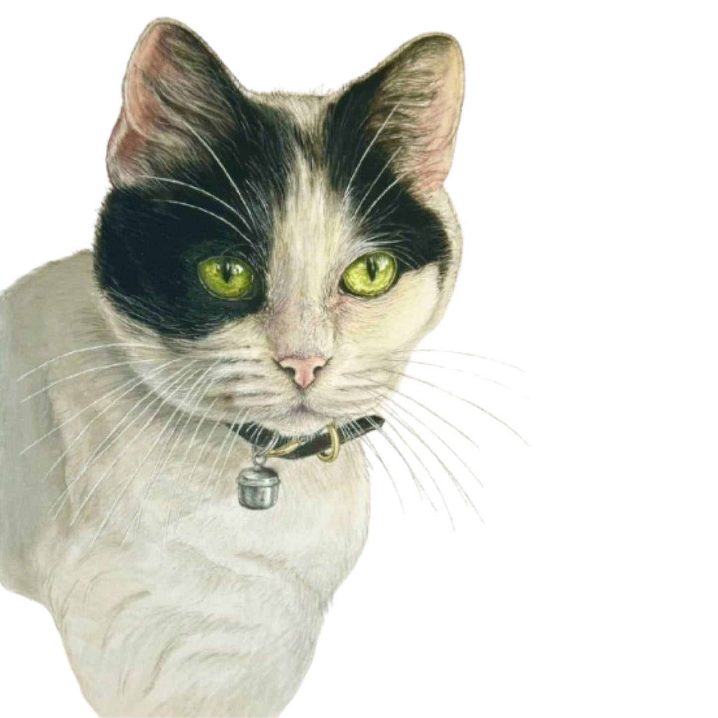 Pet Portrait Commissions || A5