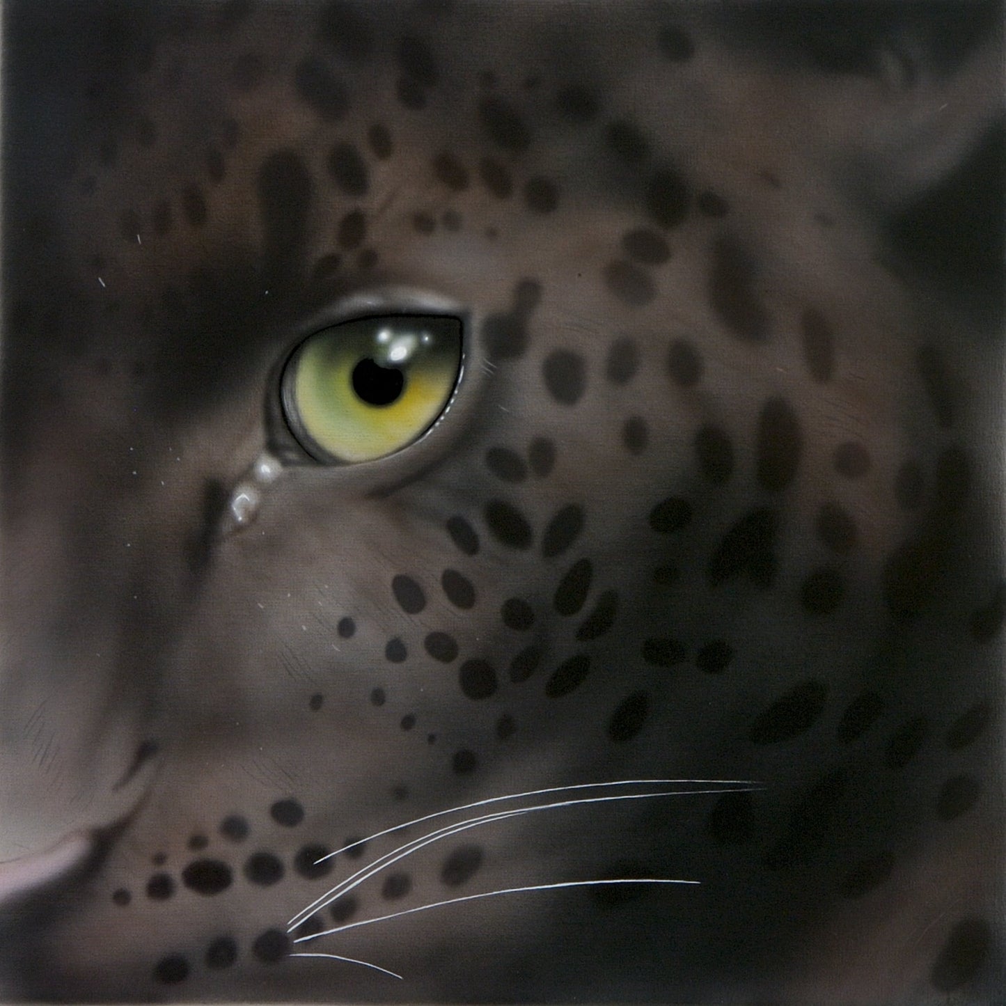 Eye of Black Leopard I