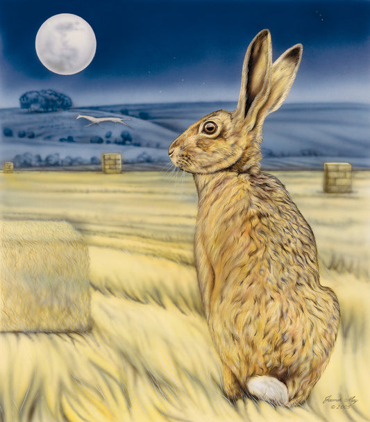Moon Gazing Hare