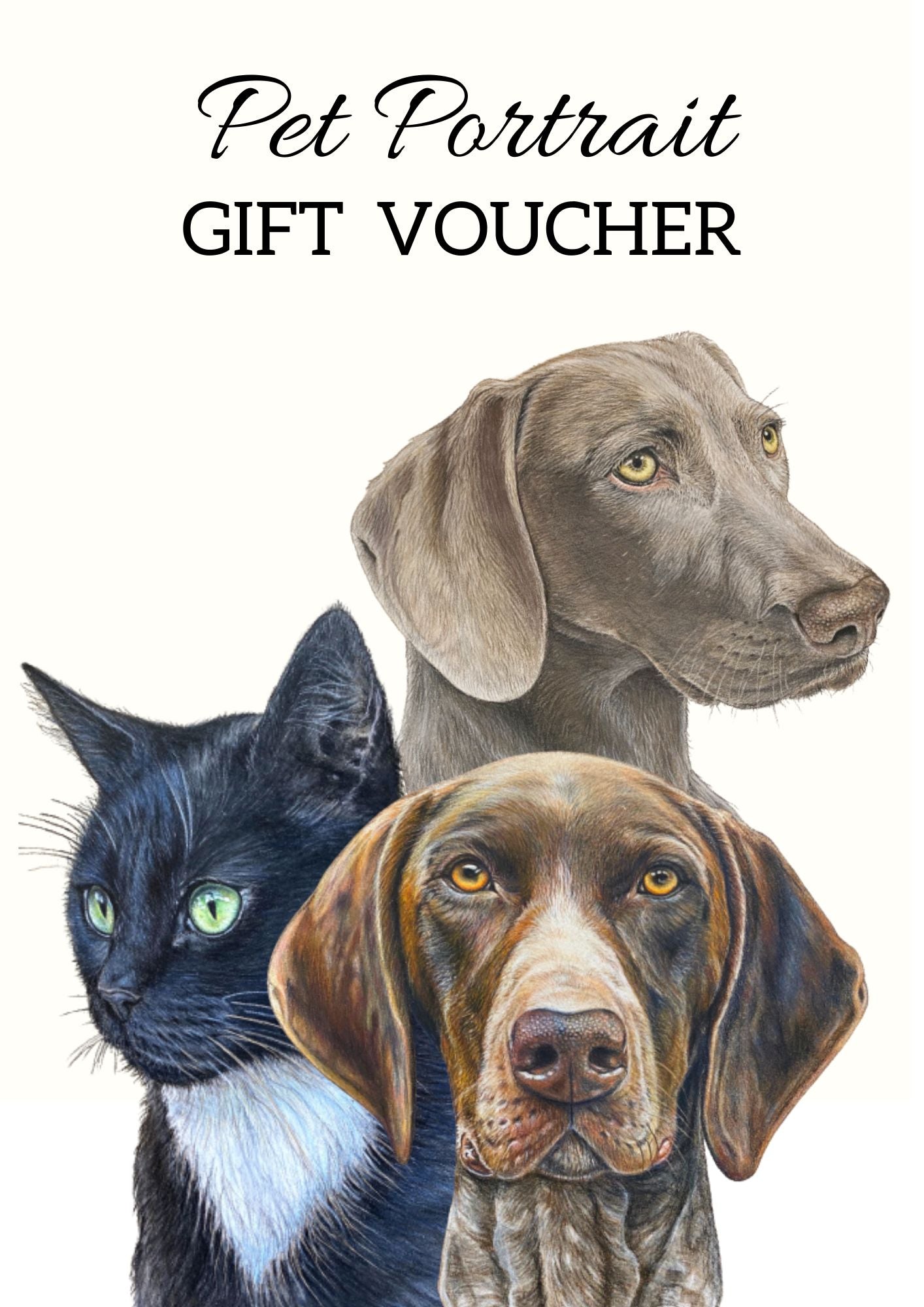 Pet Portrait Voucher