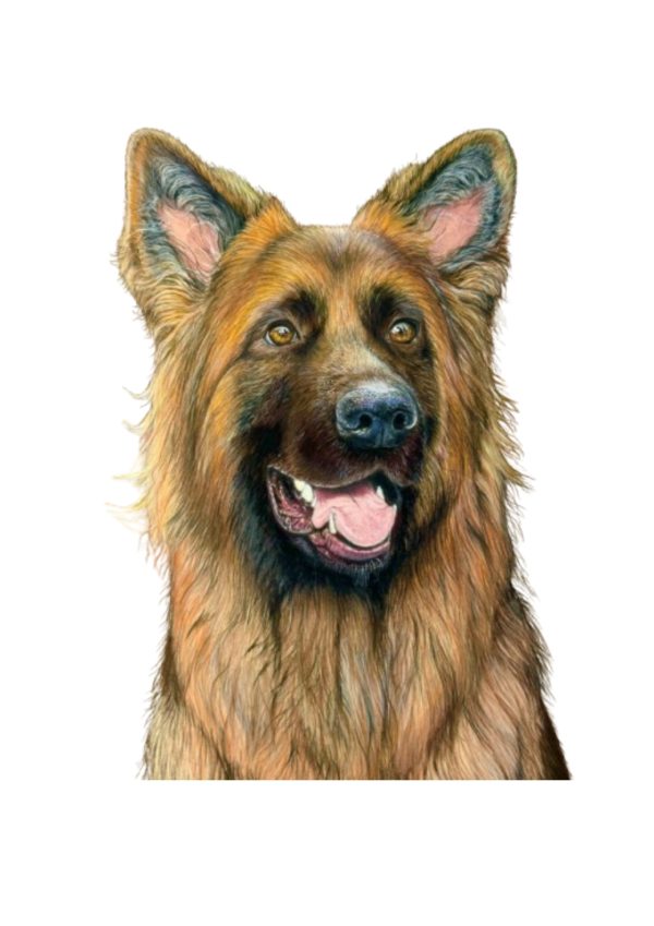 Pet Portrait Commissions || A3 - Image 11