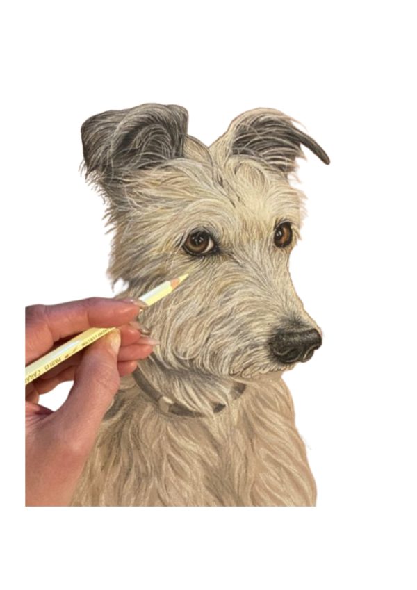 Pet Portrait Commissions || A3 - Image 7