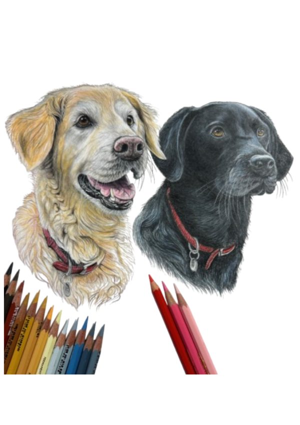 Pet Portrait Commissions || A3 - Image 4