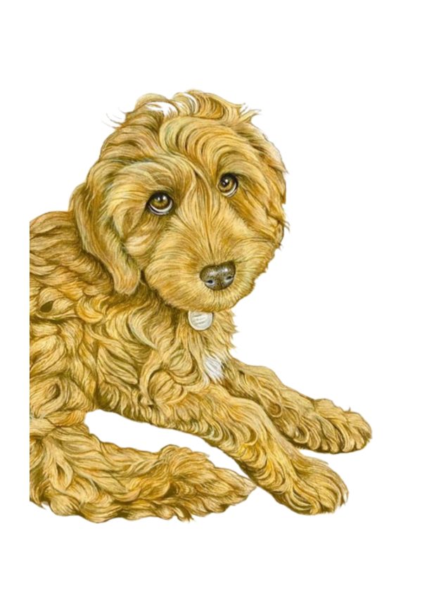 Pet Portrait Commissions || A3 - Image 2
