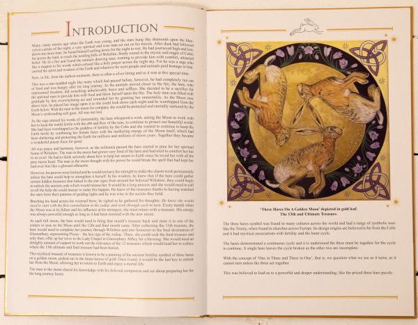 The Hare on the Moon - A Treasure Hunt Book Limited Edition - Image 2