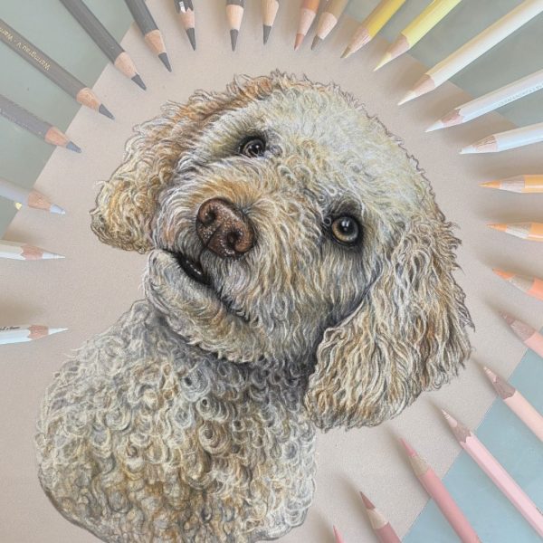 Pet Portrait Commissions || A3 - Image 23