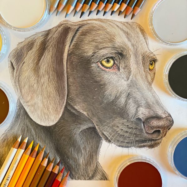 Pet Portrait Commissions || A3 - Image 22