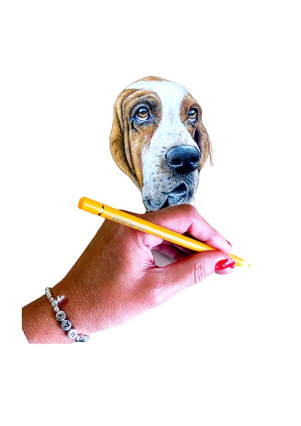 Pet Portrait Commissions || A3 - Image 21