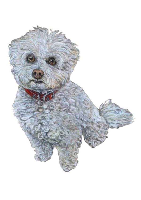 Pet Portrait Commissions || A3 - Image 14