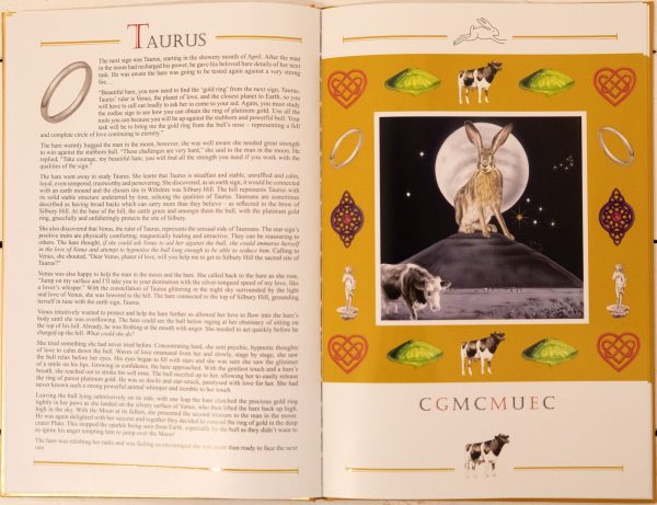 The Hare on the Moon - A Treasure Hunt Book Limited Edition - Image 4