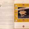 The Hare on the Moon - A Treasure Hunt Book - Image 5