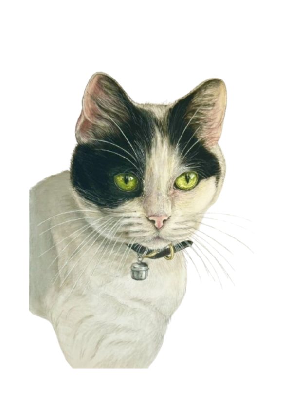 Pet Portrait Commissions || A3 - Image 19