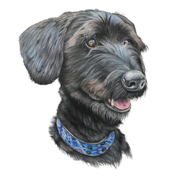 Pet Portrait Commissions || A5 - Image 2