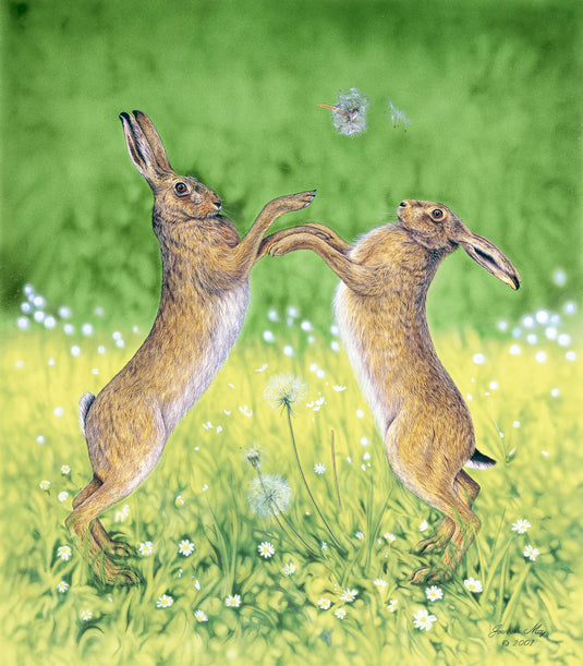 Seasonal Hares