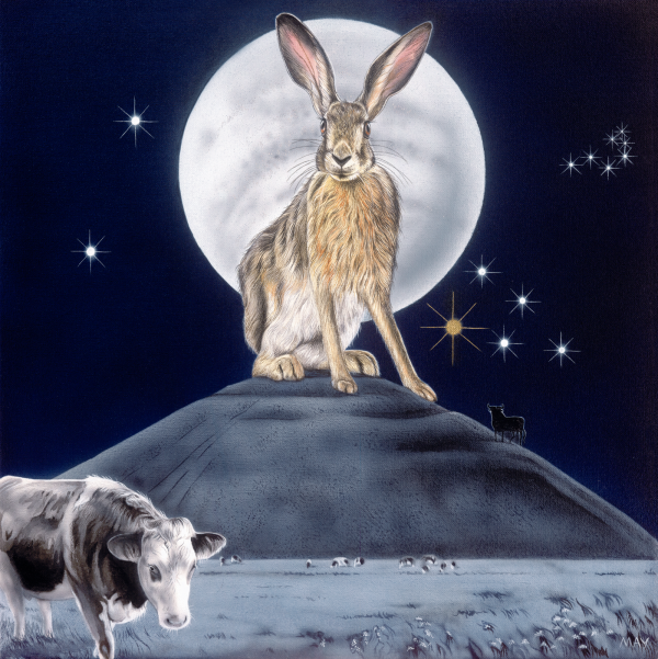 Taurus Hare~ 20th Apr-20th May