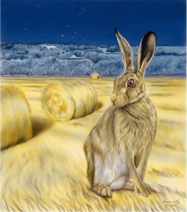 Broadtown Hare