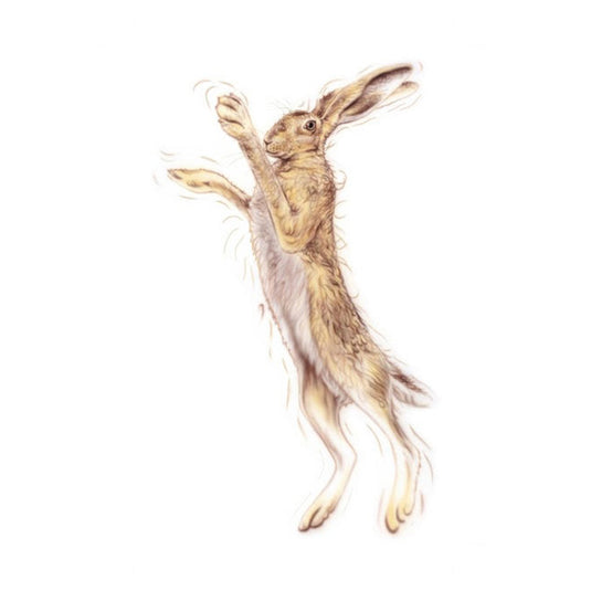 Other Hares