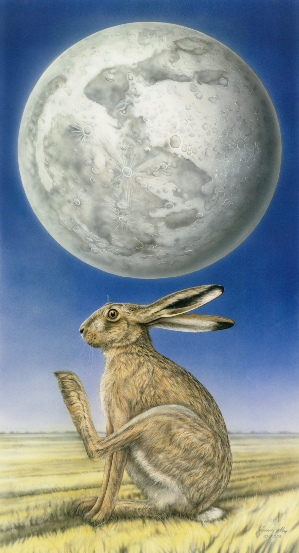 The Hare In Moon