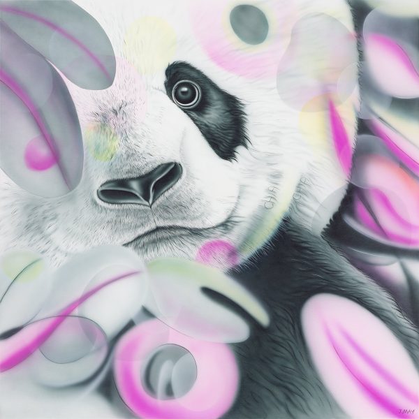 Panda - Chia Chia