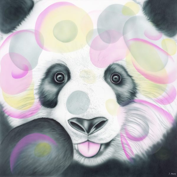 Panda - Ching Ching