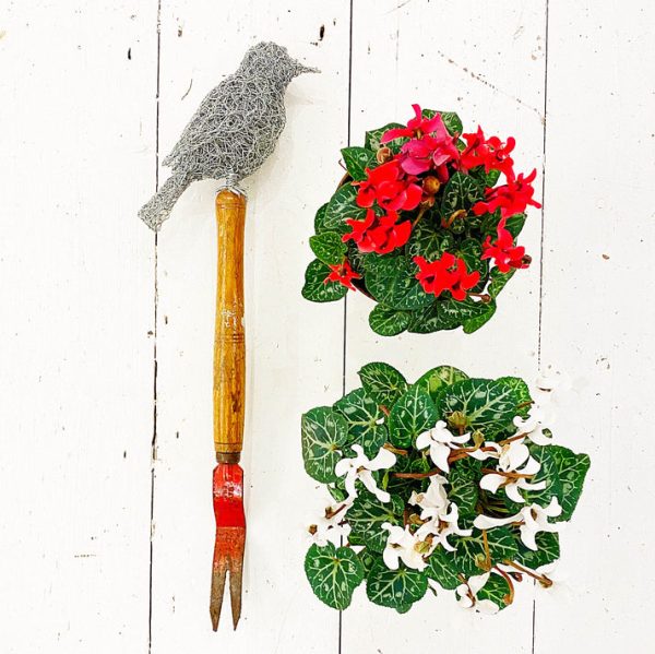 David Metcalff || Handmade Wren || Mounted on Reclaimed Tool