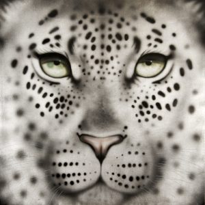 Silver Leaf Leopard