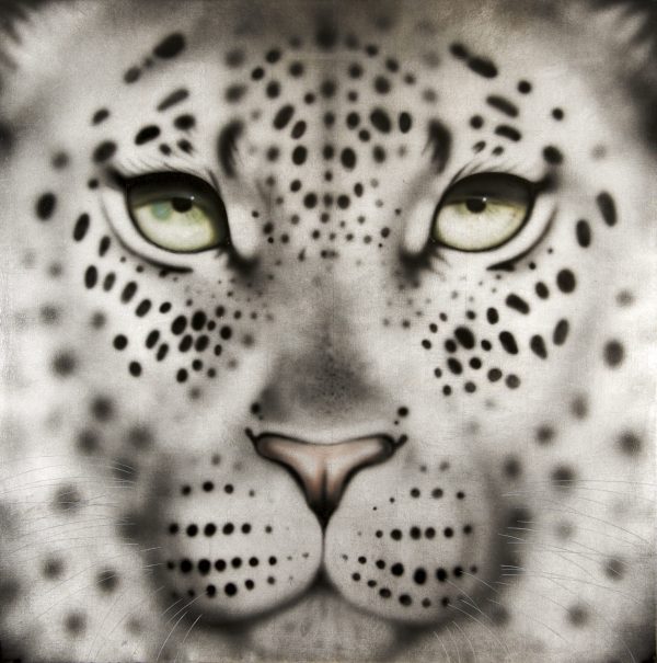 Silver Leaf Leopard
